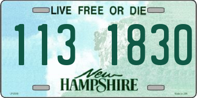 NH license plate 1131830