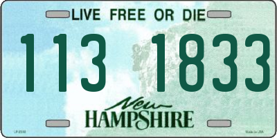 NH license plate 1131833