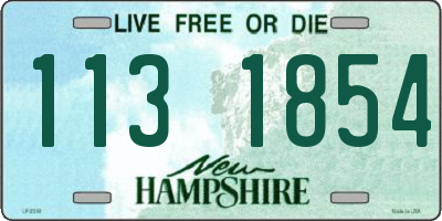 NH license plate 1131854