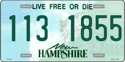 NH license plate 1131855