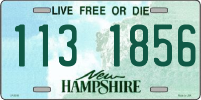 NH license plate 1131856