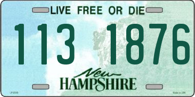 NH license plate 1131876