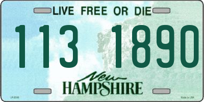 NH license plate 1131890