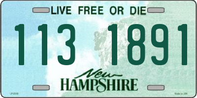 NH license plate 1131891