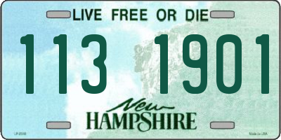 NH license plate 1131901
