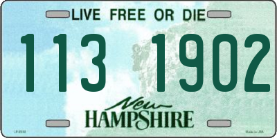 NH license plate 1131902