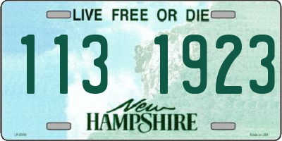 NH license plate 1131923