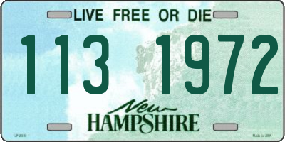 NH license plate 1131972