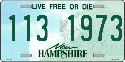 NH license plate 1131973