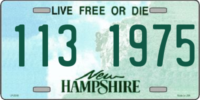 NH license plate 1131975