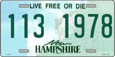 NH license plate 1131978
