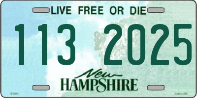 NH license plate 1132025