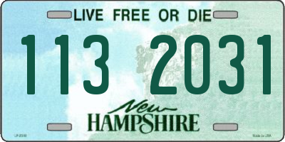 NH license plate 1132031