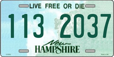 NH license plate 1132037