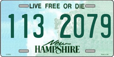 NH license plate 1132079