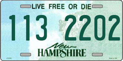 NH license plate 1132202