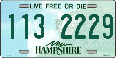 NH license plate 1132229
