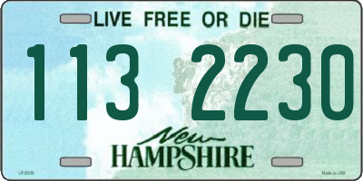 NH license plate 1132230