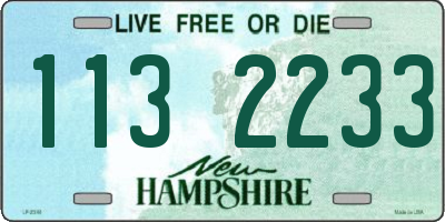 NH license plate 1132233