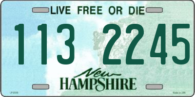 NH license plate 1132245