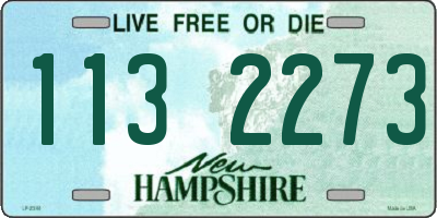 NH license plate 1132273