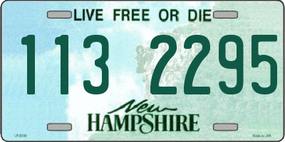 NH license plate 1132295