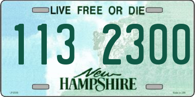 NH license plate 1132300