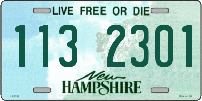 NH license plate 1132301