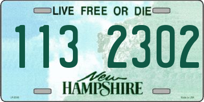 NH license plate 1132302