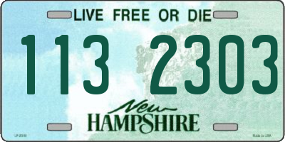 NH license plate 1132303