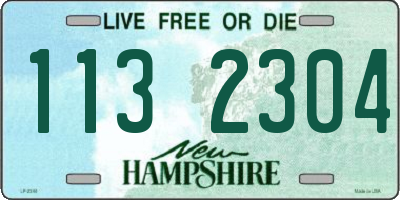 NH license plate 1132304