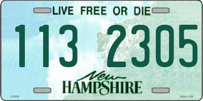 NH license plate 1132305