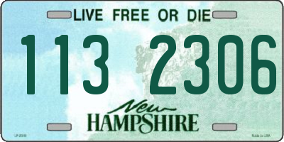 NH license plate 1132306