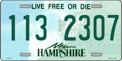 NH license plate 1132307