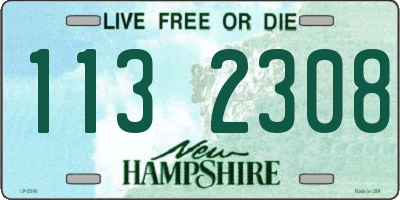 NH license plate 1132308