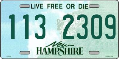 NH license plate 1132309