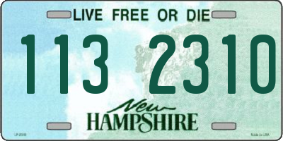 NH license plate 1132310