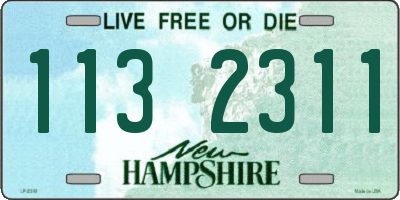 NH license plate 1132311