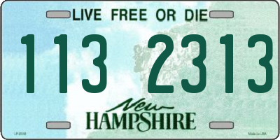 NH license plate 1132313