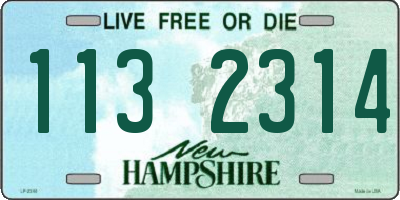 NH license plate 1132314