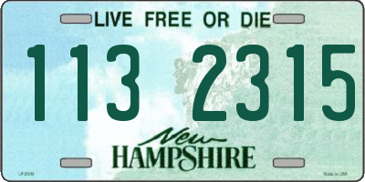 NH license plate 1132315