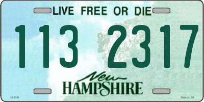 NH license plate 1132317