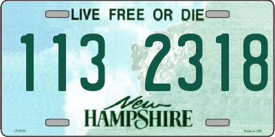 NH license plate 1132318