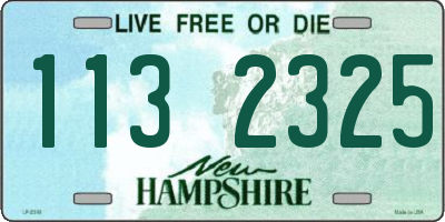 NH license plate 1132325