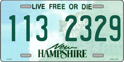 NH license plate 1132329