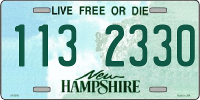 NH license plate 1132330