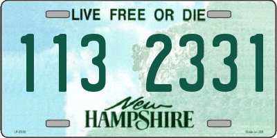 NH license plate 1132331