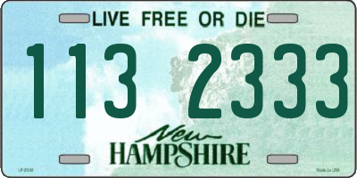 NH license plate 1132333