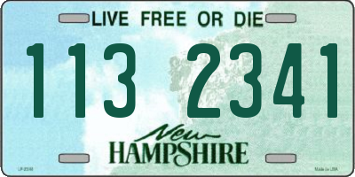 NH license plate 1132341