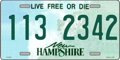 NH license plate 1132342